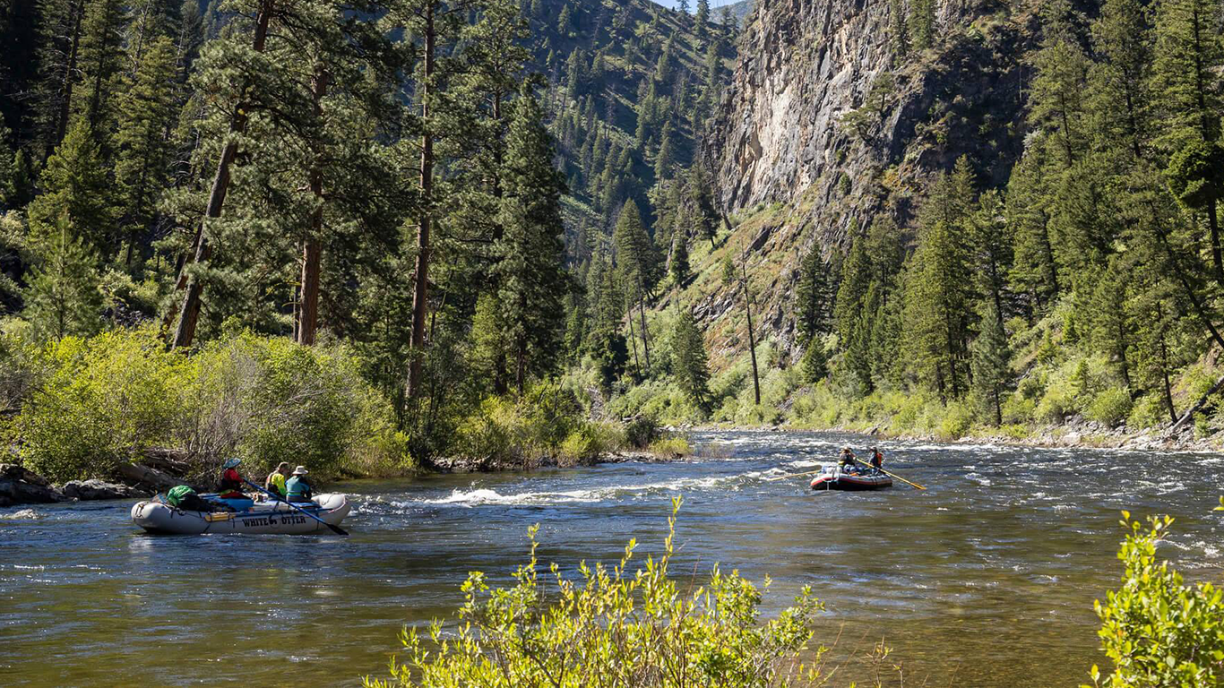 Rafting adventure on a scenic river surrounded by tall trees, perfect for summer camps and outdoor programs.