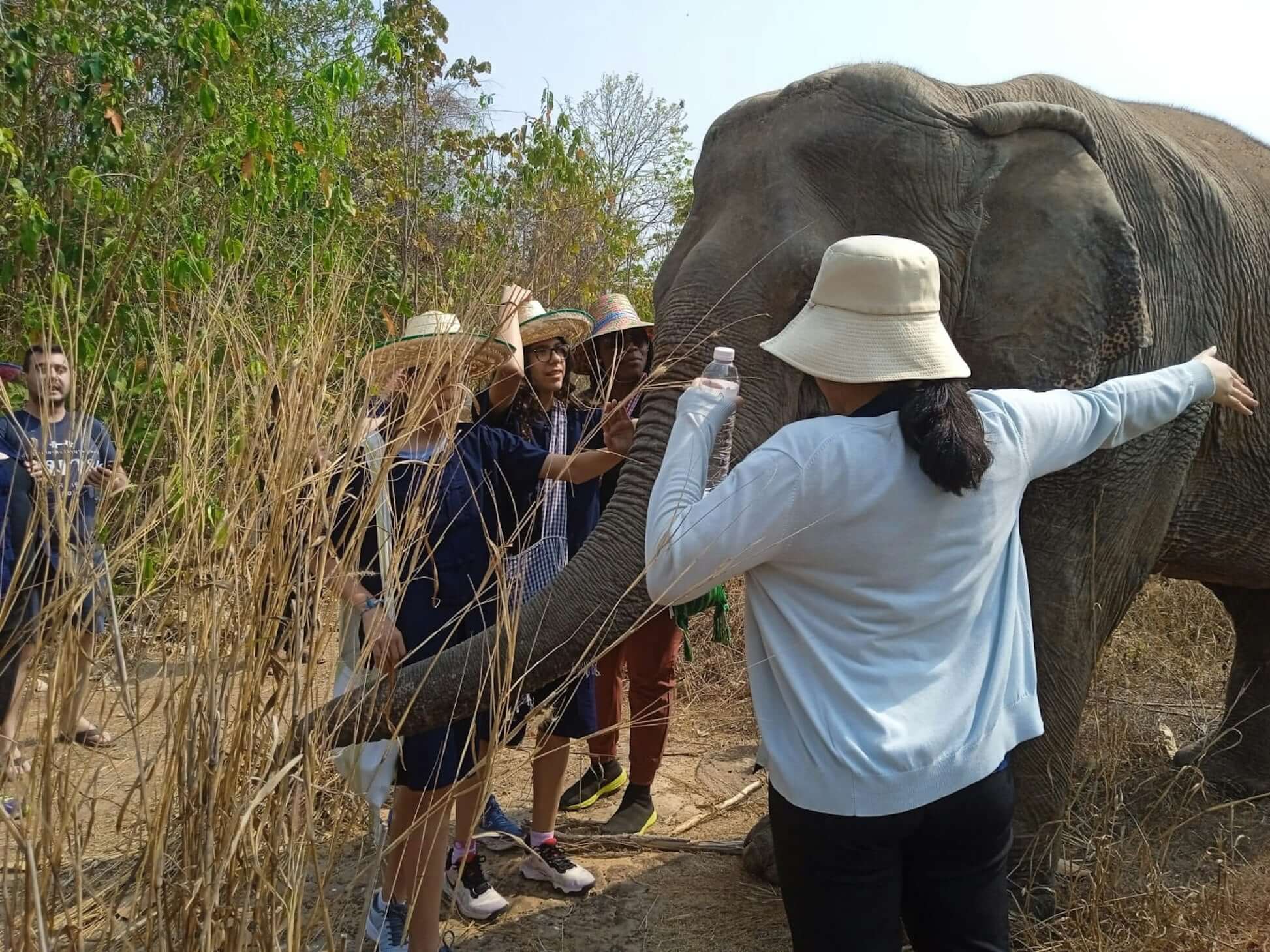 high school teens learning about elephant conservation, interacting with a gentle giant in Thailand.