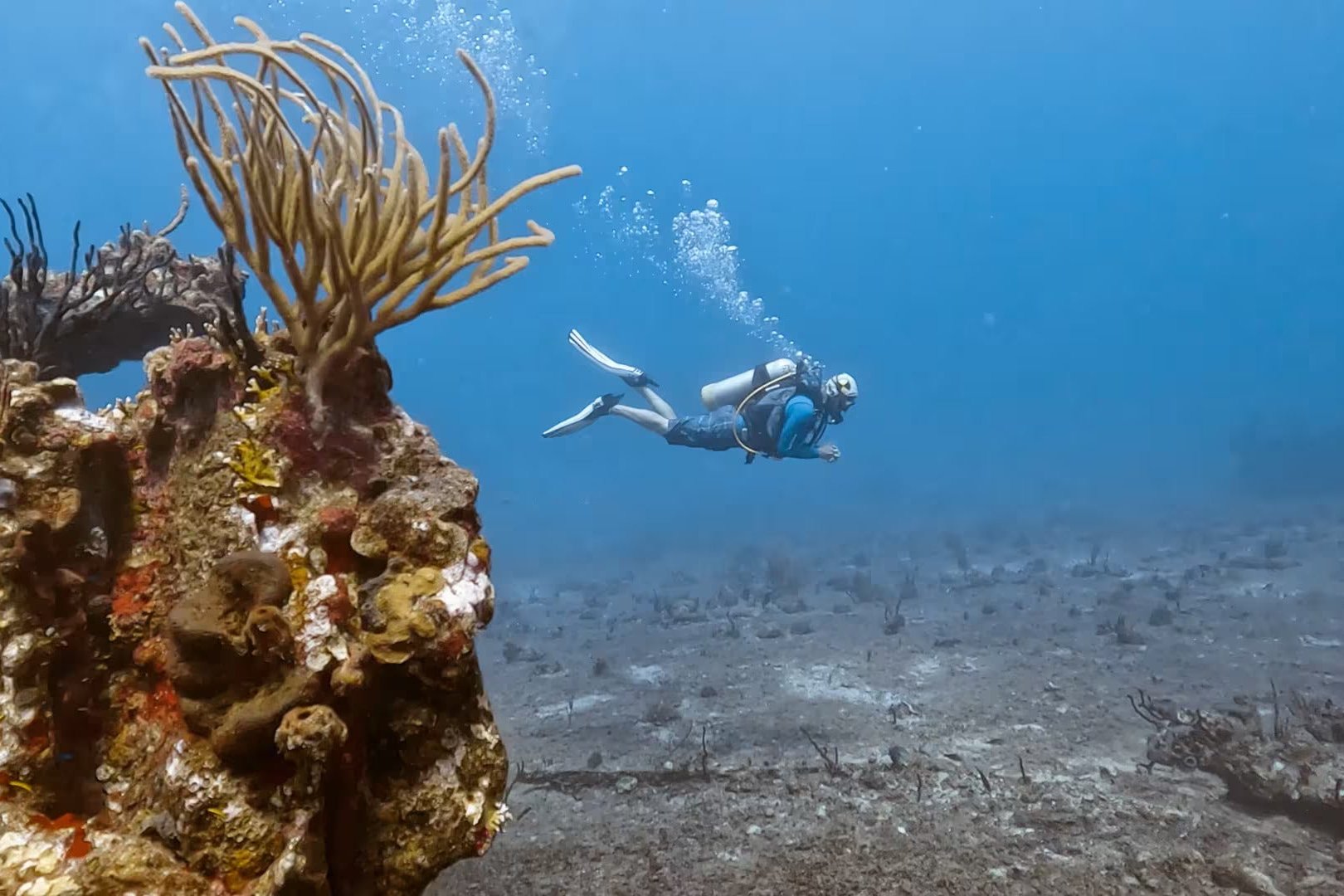 Diver exploring underwater coral reefs while scuba diving in the Caribbean, part of summer programs for teens.