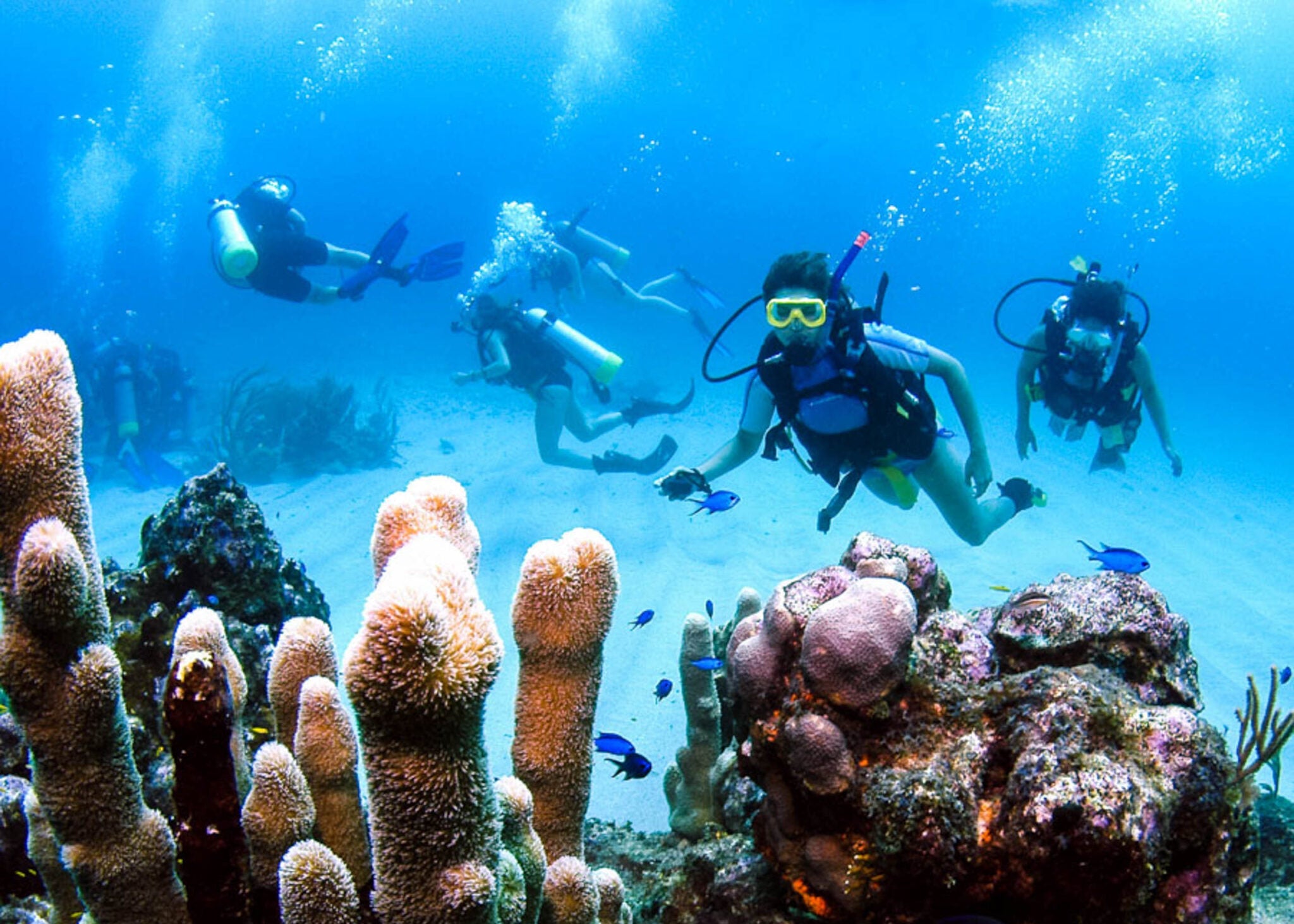 Divers exploring a vibrant coral reef underwater, showcasing marine life in an immersive summer camp experience.