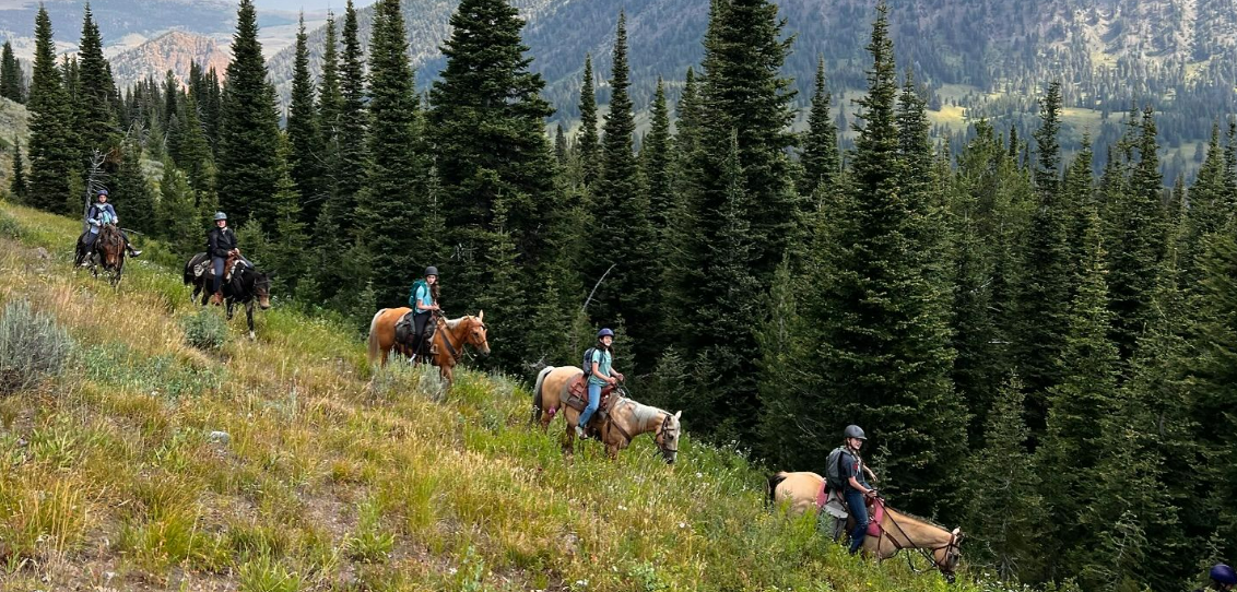Group of riders on horseback through lush greenery in a mountainous area, enjoying a summer outdoor adventure.
