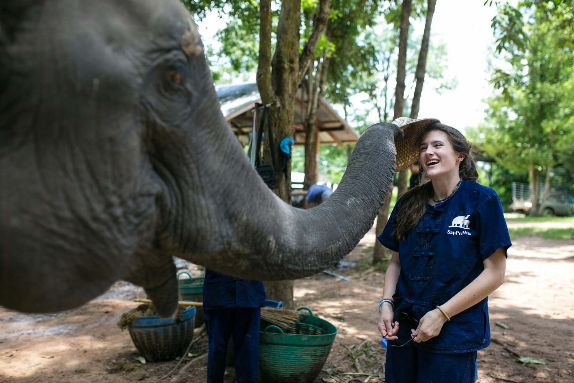 Teen traveler joyfully interacting with an elephant at a Thai conservation project, experiencing the majesty of nature.
