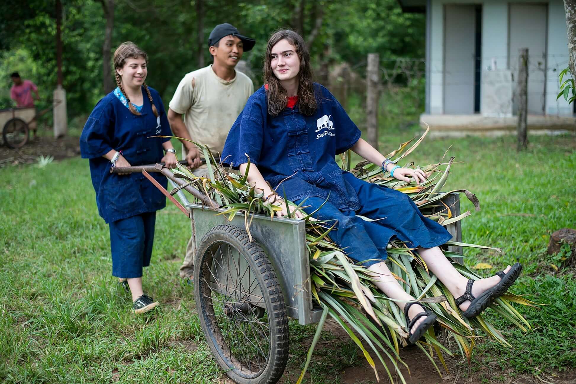 Teen travelers happily working together to transport greenery at a Thai elephant conservation project.