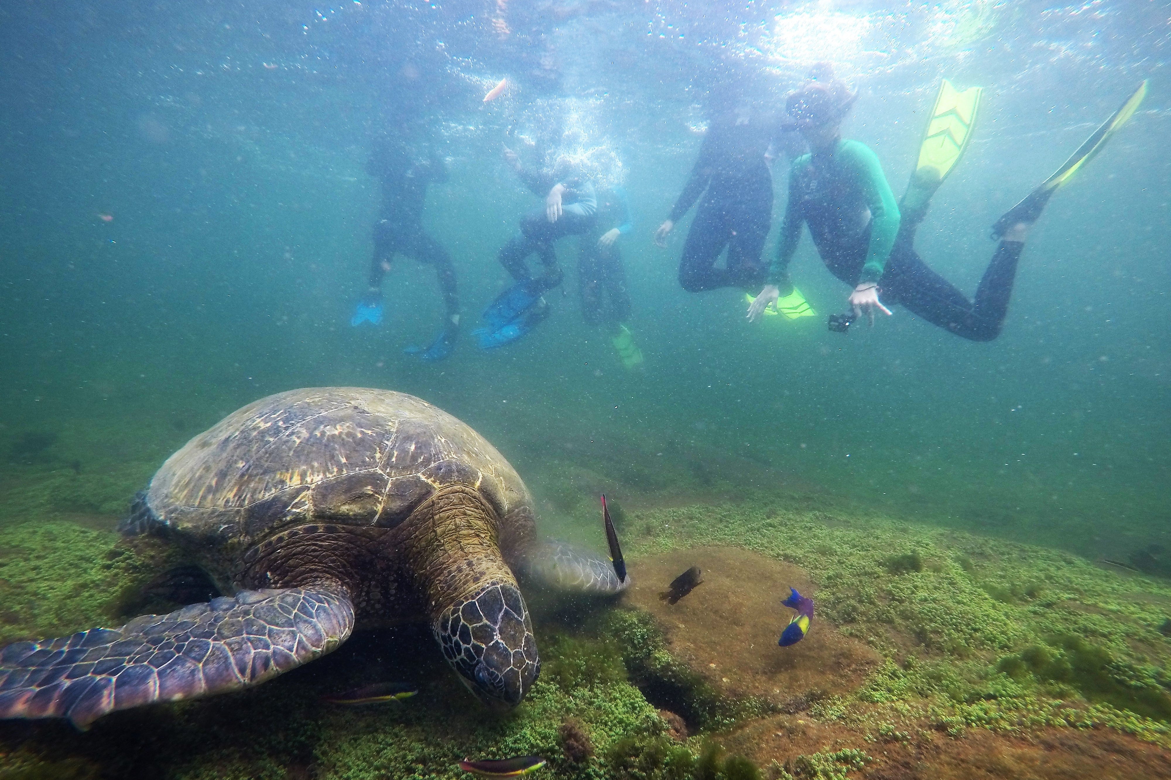 Ecuador & Galapagos Teen Travel Program