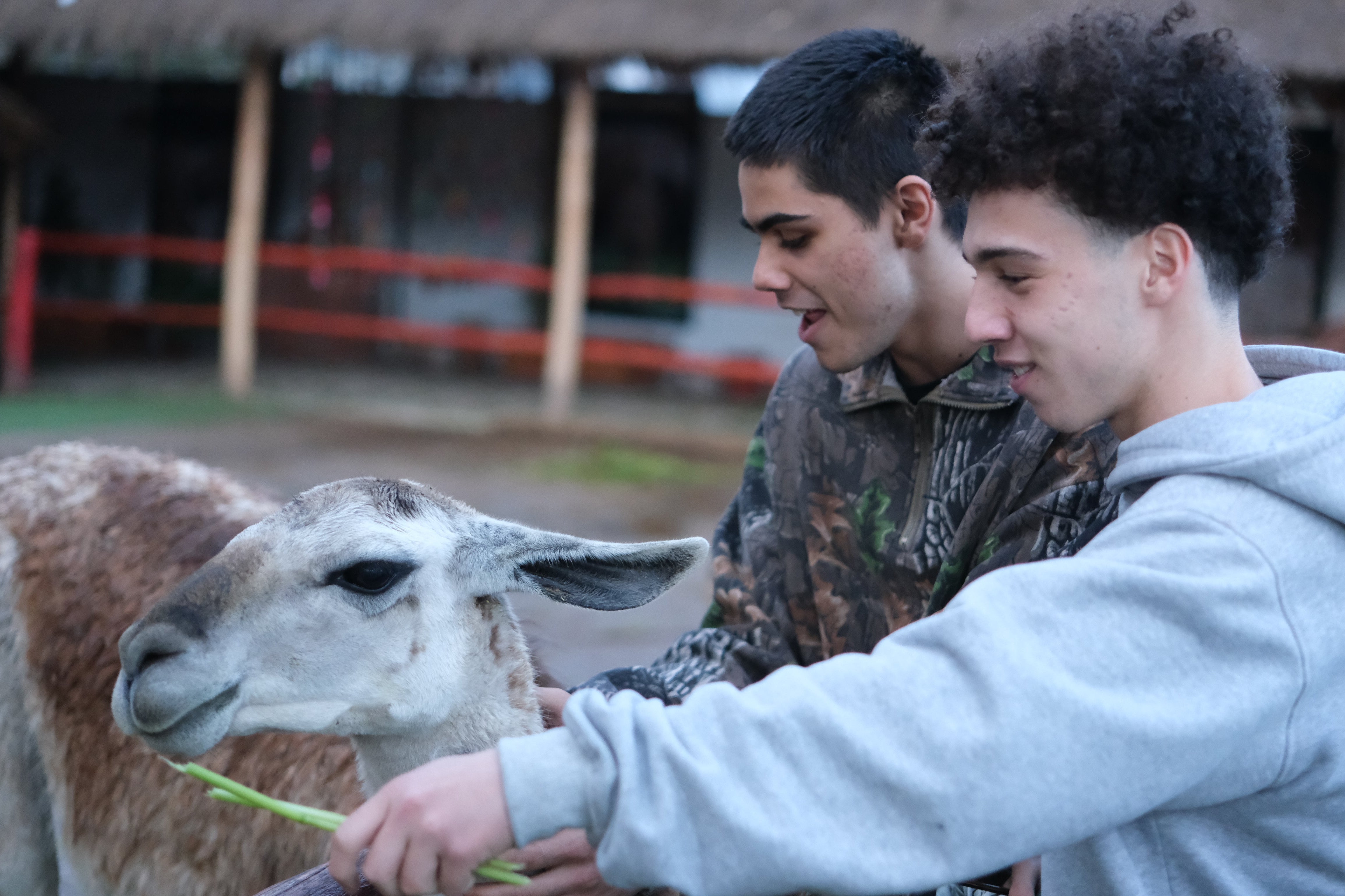 Peru Teen Travel Program