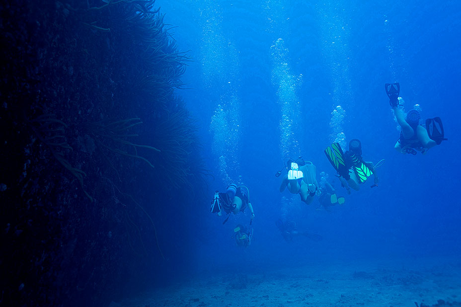 Group of divers exploring the underwater world during ActionQuest's summer camp in the Caribbean.