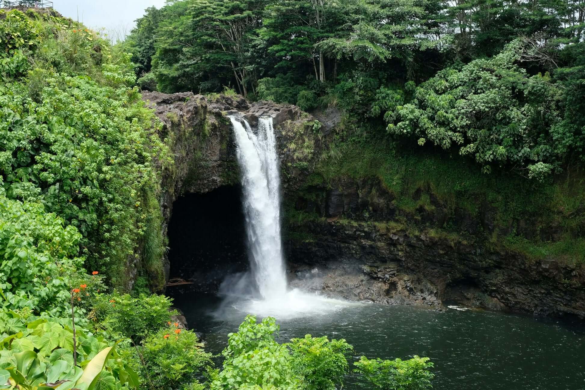 Lush green landscape with a picturesque waterfall cascading into a serene pool in Hawaii, showcasing natural beauty.