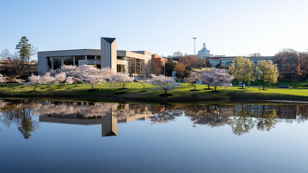 Scenic view of a campus with blooming cherry trees by a reflective lake, showcasing a vibrant spring day.