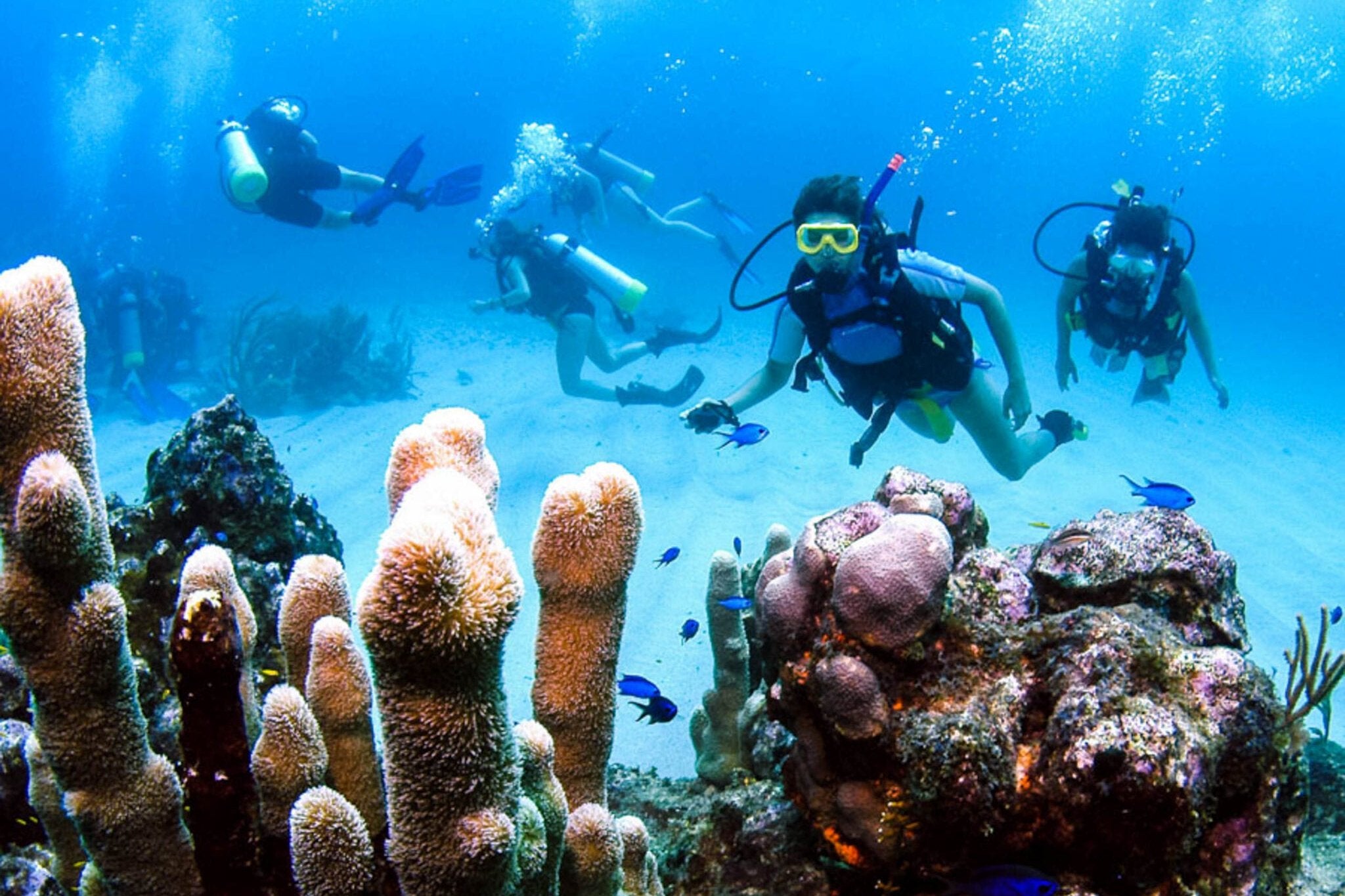 Divers exploring a vibrant coral reef underwater, showcasing marine life in an immersive summer camp experience.