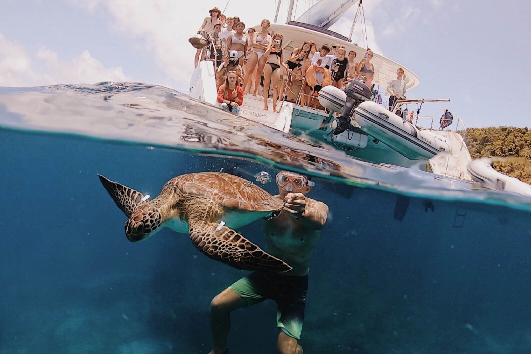 Teen travelers snorkeling with a sea turtle near a sailing yacht in crystal-clear waters during summer programs.
