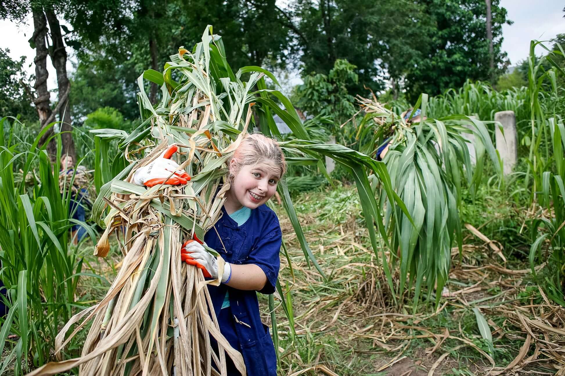 Joyful teen volunteer carries freshly cut grass for elephants at a Thai conservation project, embracing hands-on adventure.