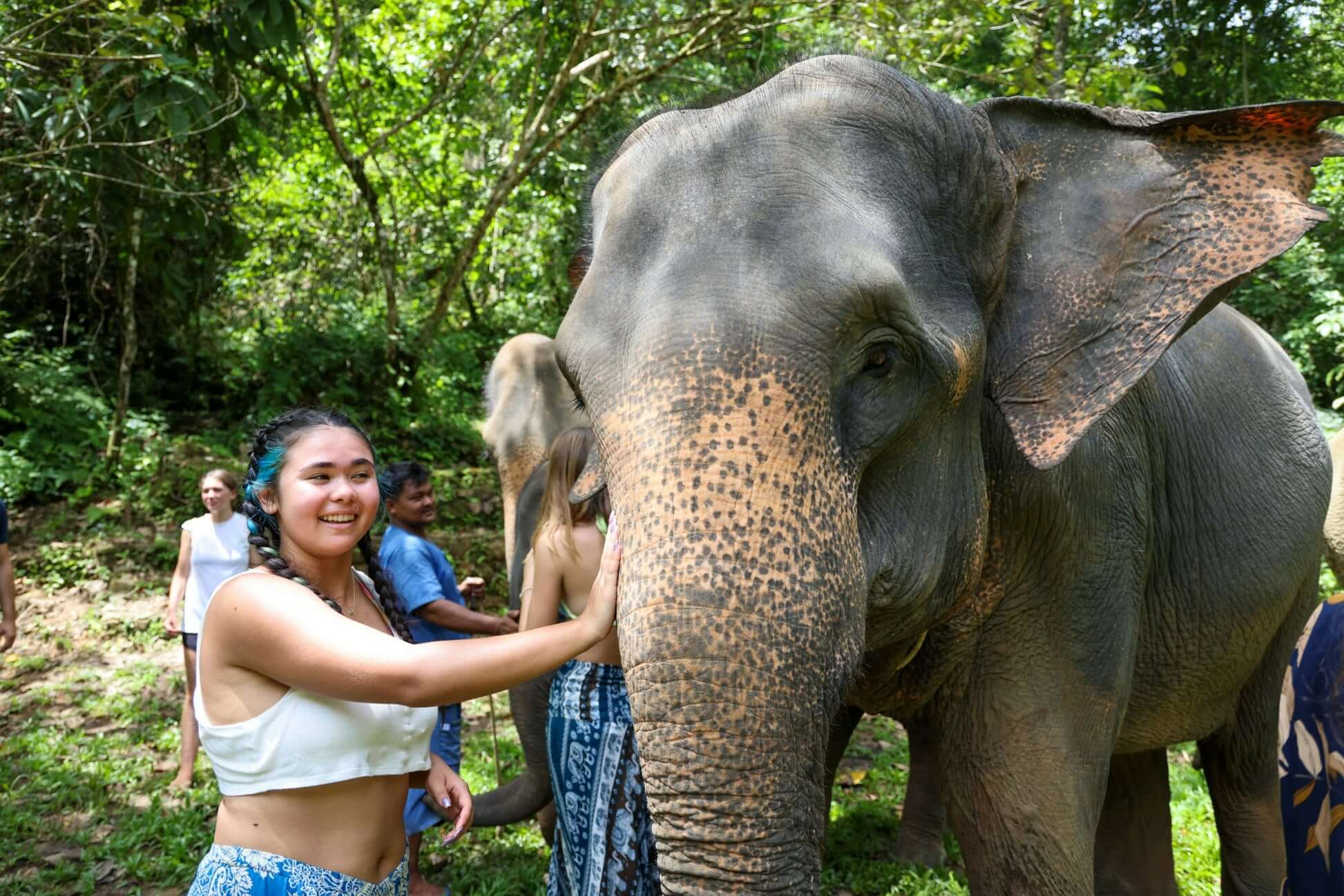 student traveler interacting with an elephant in a lush Thai rainforest during a conservation experience.