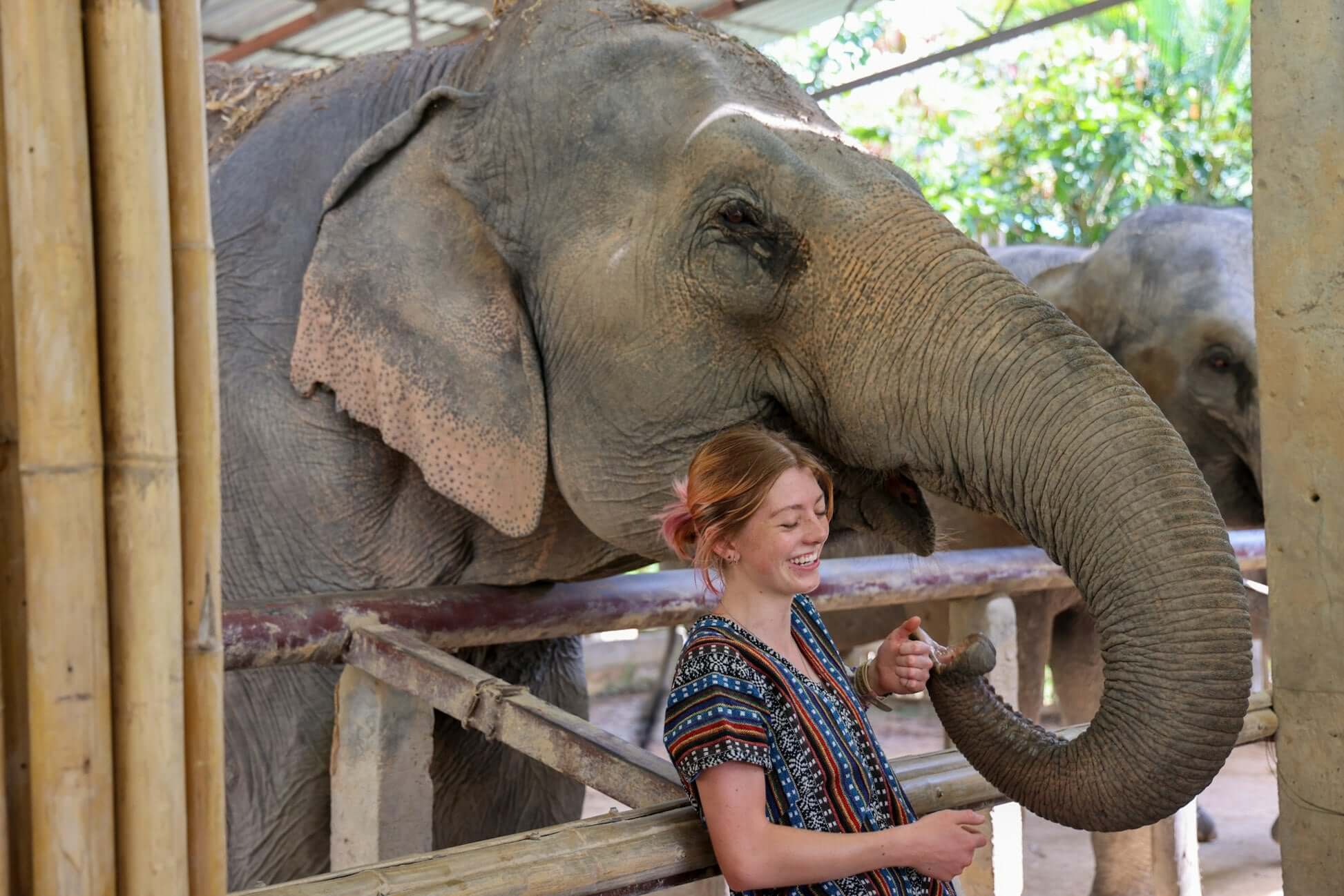 High school student interacts joyfully with an elephant in a sanctuary in Thailand, capturing the essence of adventure travel.