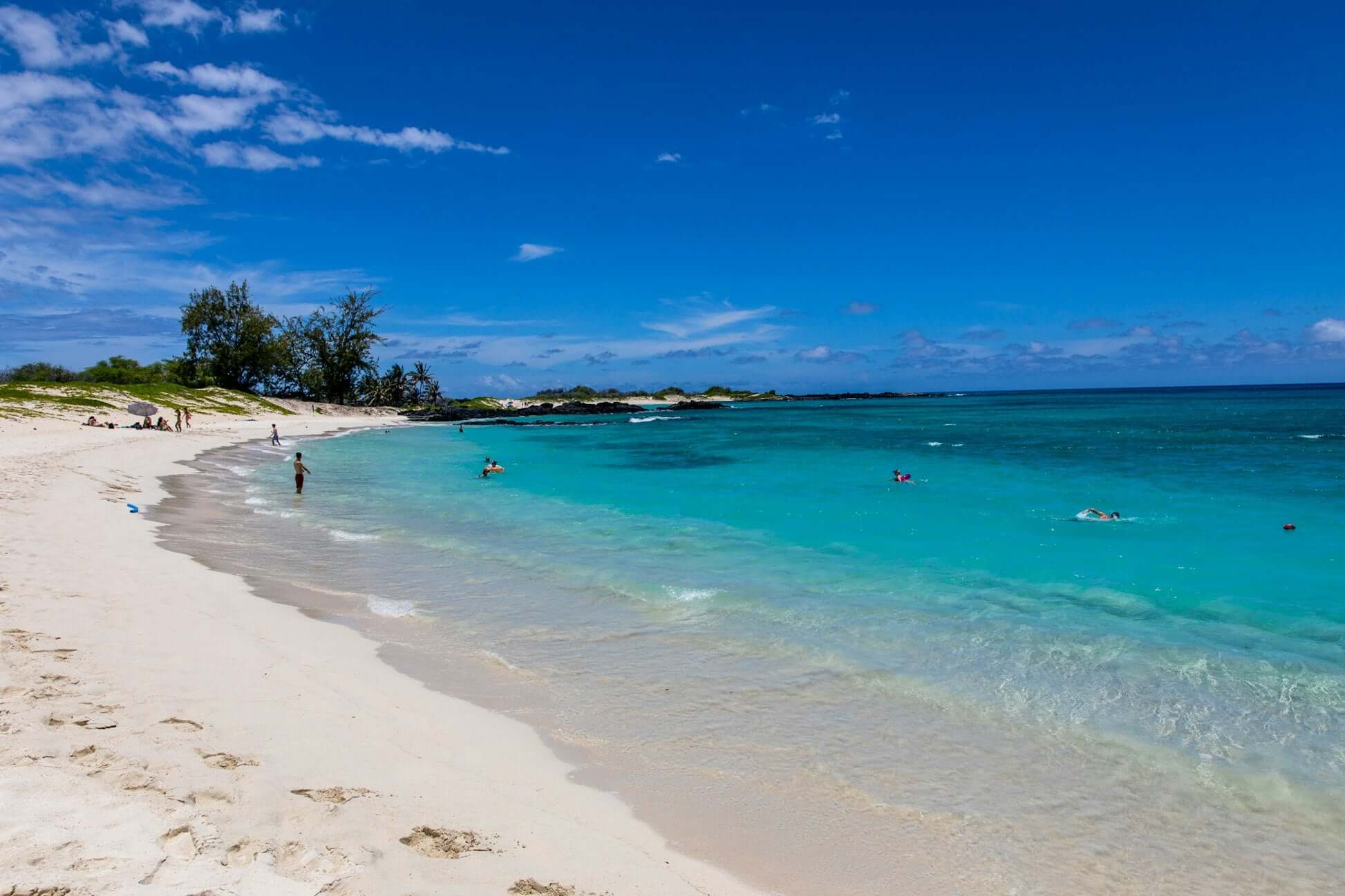 Pristine Hawaii beach with turquoise waters, inviting for summer activities and environmental stewardship projects.