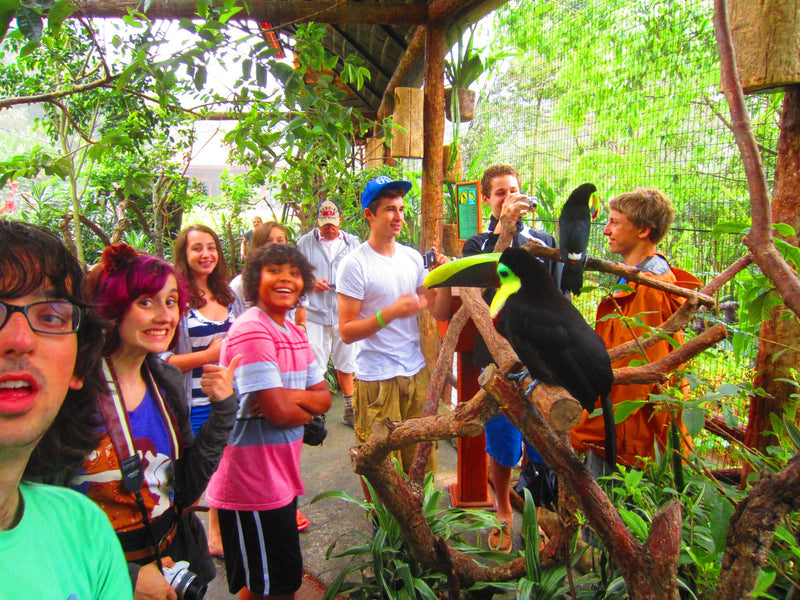 Students enjoying a language immersion experience in Costa Rica, exploring nature with a toucan at a summer adventure camp.