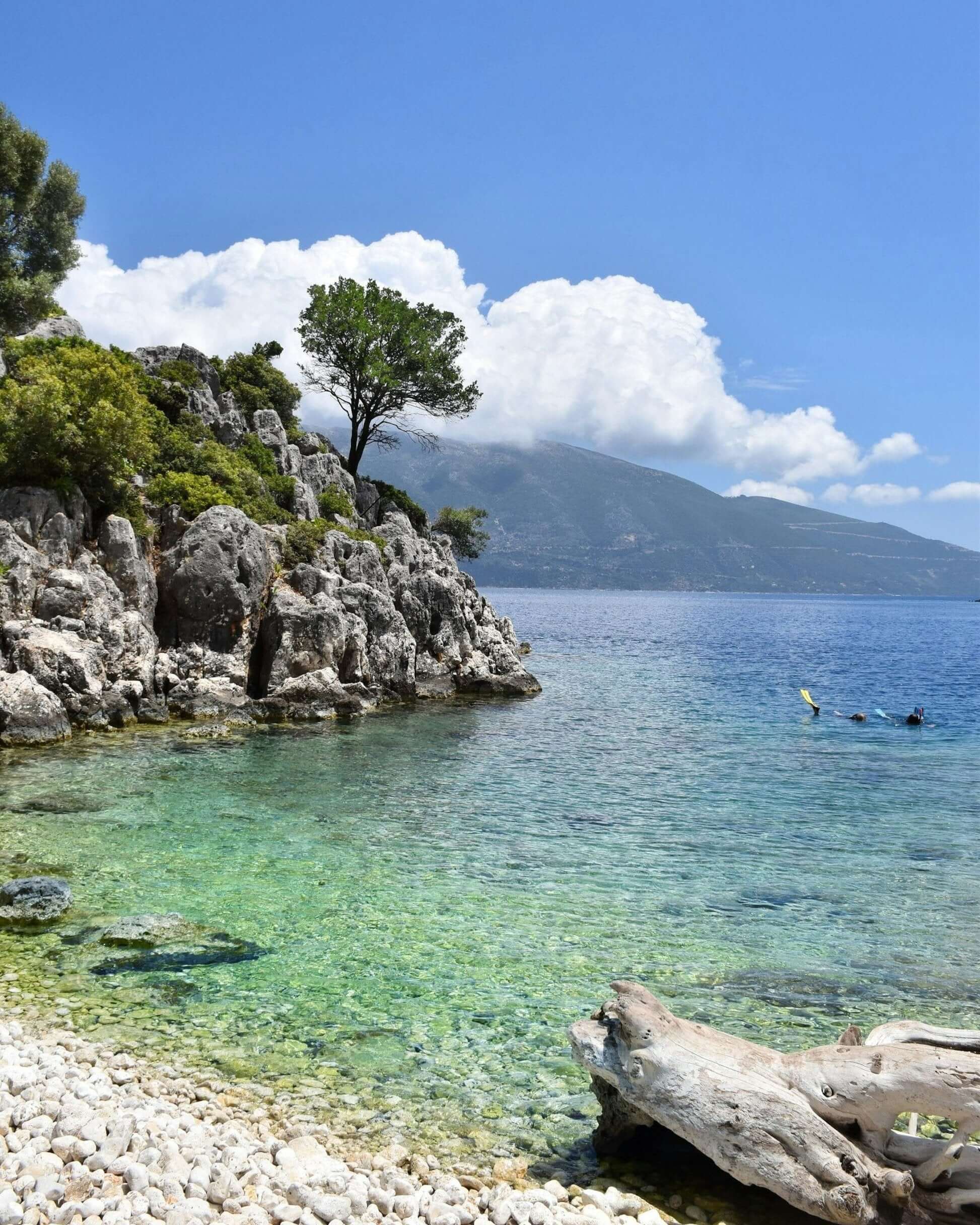 tranquil Ionian coastline with clear waters, rocky beach, and lush greenery, perfect for sea turtle conservation activities.
